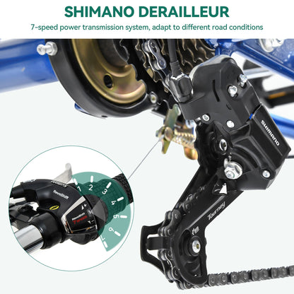 26 Tricicli per adulti a 3 ruote, bici a 7 velocità