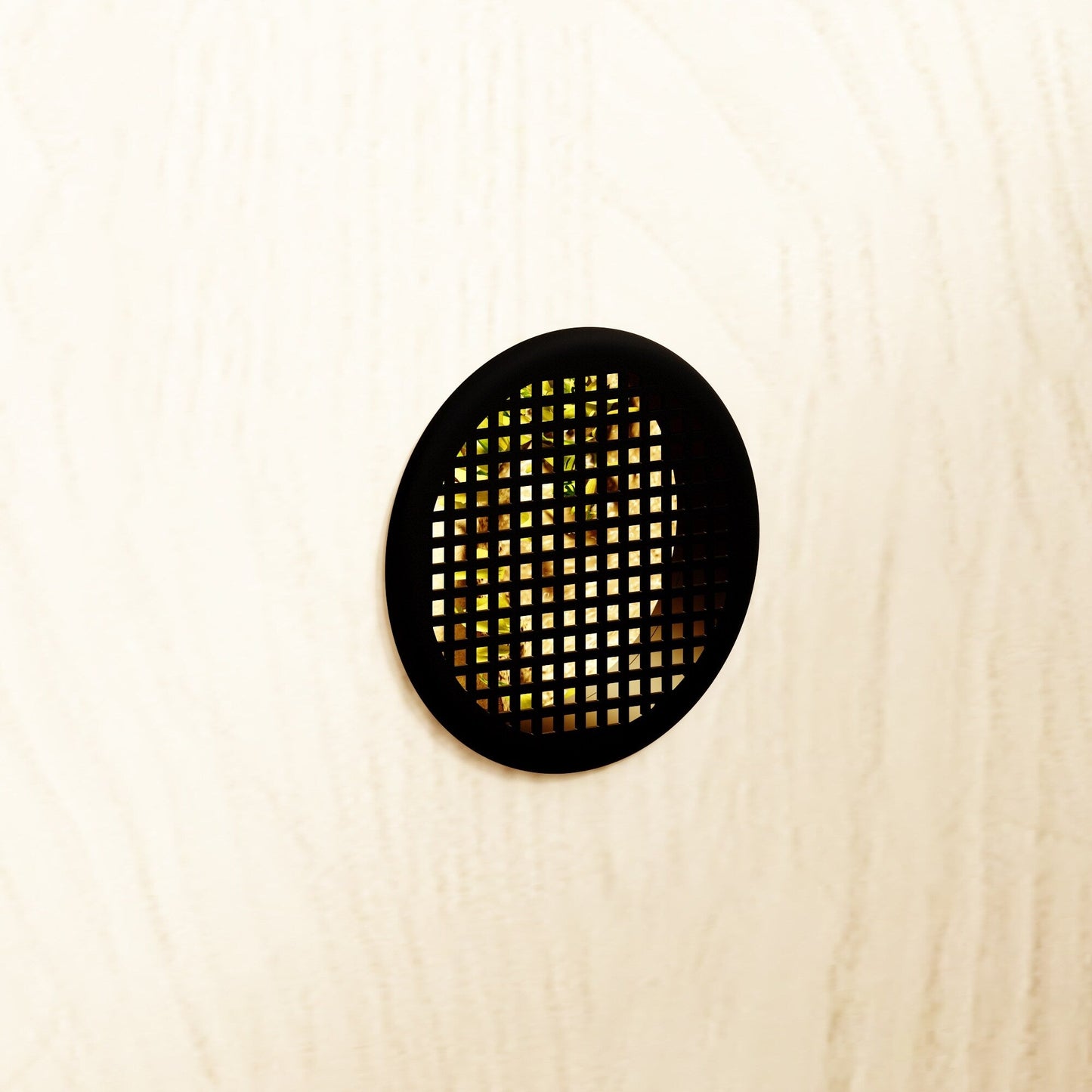 Habitat per rettili - Terrario spazioso per lucertole, serpenti e altro - 47.2