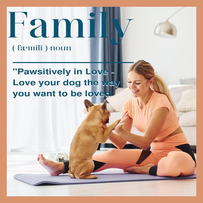 Stazione di alimentazione per cani Roomfitters con 2 ciotole rialzate per cani, stazione di alimentazione per animali domestici inclinabile