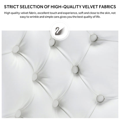 Sedia da pranzo imbottita in velluto trapuntato con gambe in legno massello, set da 6