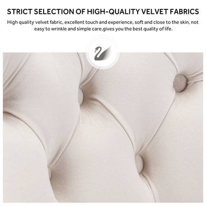 Sedia da pranzo imbottita in velluto trapuntato con gambe in legno massello, set da 6