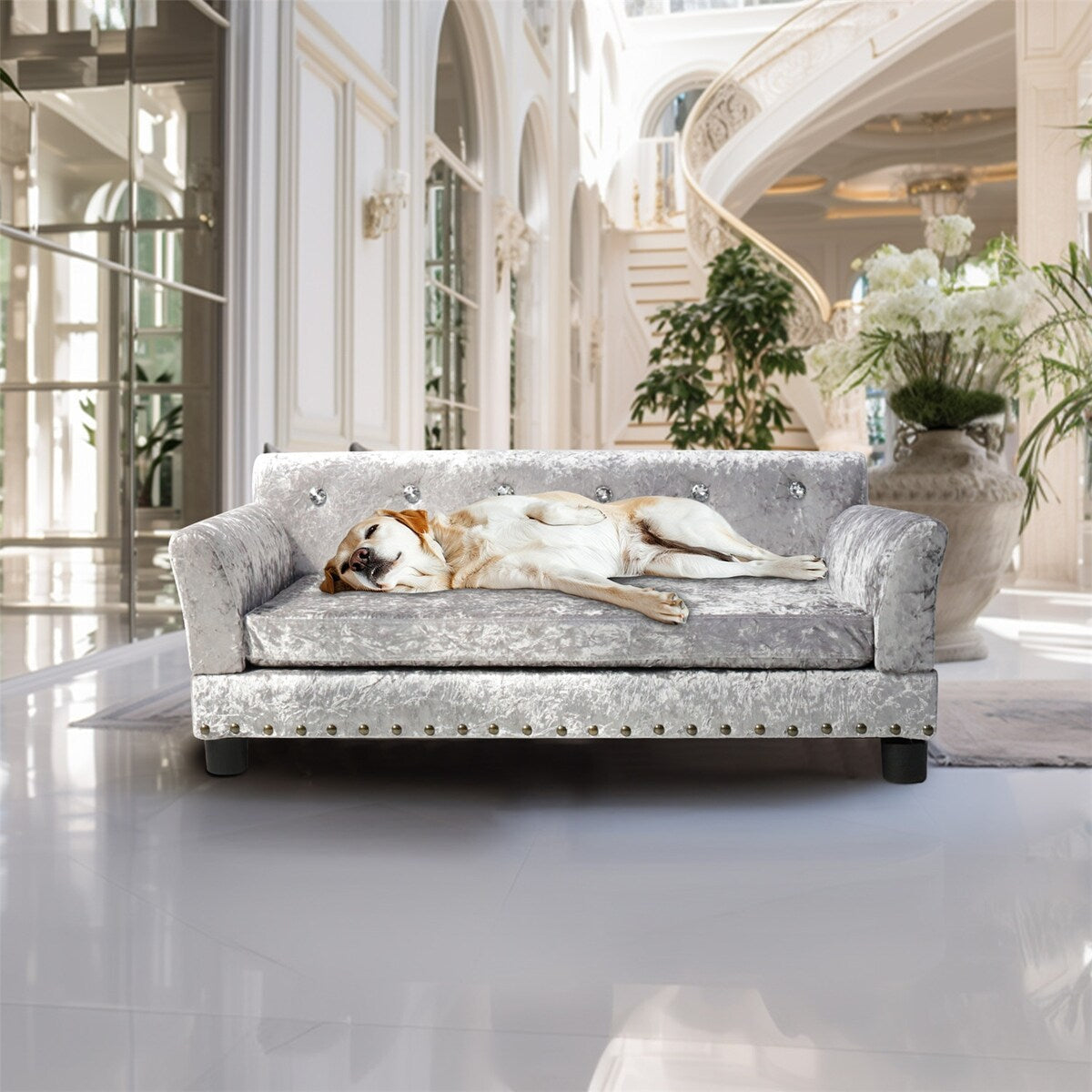 Cuccia per animali domestici con cuscino imbottito in velluto e rimovibile