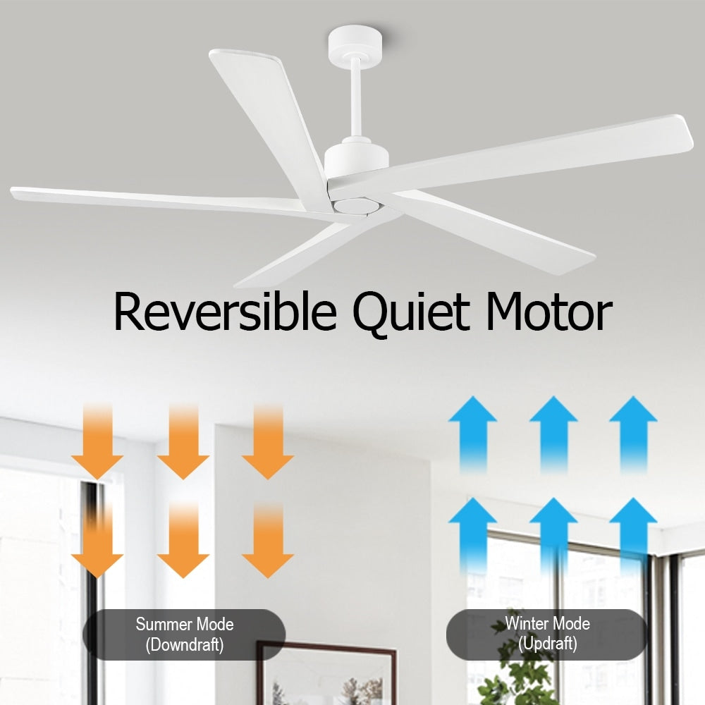 Ventilatore da soffitto per interni con motore CC WINGBO da 54 pollici senza luci - N/D