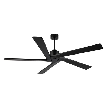 Ventilatore da soffitto per interni con motore CC WINGBO da 54 pollici senza luci - N/D
