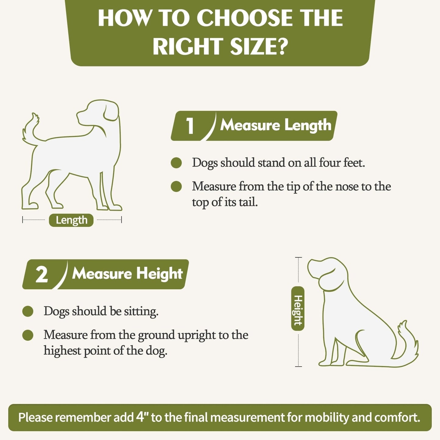 Cuccia per cani in legno con due cassetti e divisorio